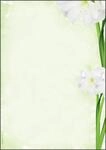 SIGEL DP463 Motiv-Papier "Green Flower", Briefpapier 90 g DIN A4, 25 Blatt, aus