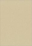 SIGEL DP623 Hochwertiges nachhaltiges Graspapier "Blank grass paper", A4, 100...