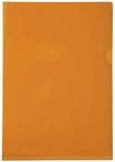 Exacompta 661245E 100er Pack PVC-Kunststoff Aktenh&uuml;llen. F&uuml;r DIN A4...