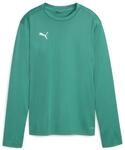 PUMA teamGOAL Training Sweat Wmn