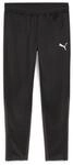 PUMA teamGOAL Training Pant