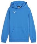 Puma Jungen Teamgoal Casuals Hoody Jr Pullover, Ignite Blue-Puma White, 116 EU