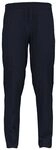 ODLO Wanderhose Herren Essential I Lange Outdoorhose I Trekkinghose