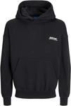 JACK&JONES JORROXBURY Back Sweat Hood