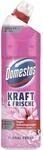 Domestos Kraft & Frische WC Gel Floral Fresh Reinigungsmittel mit frischem
