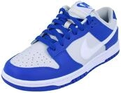 Nike Dunk Low Photon DUST/White/Racer Blue Herren, EU 44