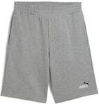 Puma Herren ESS 2 Color No. 1 Logo Shorts 10" TR Gestrickte Shorts, Medium Gray