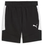 Puma Herren Strick-Shorts Teamevostripe Shorts