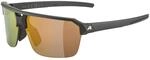 ALPINA SWIFT HR, Sportbrille f&uuml;r Erwachsene, black-gold matt, One Size, 100% UV-A-,