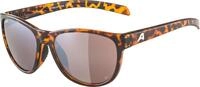 ALPINA Unisex Nacan II P Sonnenbrille (1er Pack)