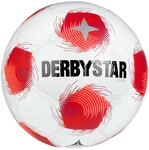 Derbystar Apus TT DB v25