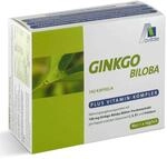 Avitale Ginkgo 100 mg Kapseln + B1, C + E, 192 St&uuml;ck, 1er Pack (1 x 112 g)