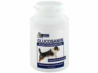 Avitale Glucosamin plus Chondroitin Kapseln für Hunde, 1er Pack (1 x 102 g)