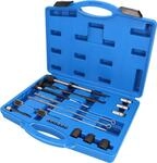 BRILLIANT TOOLS BT551300 Injektorsitz- und Schacht-Reinigungs-Sat z | 21-tlg.