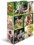 HERMA Ordner A4 Nagetiere, 7 cm breit, Kinder Ringordner mit Tier Motiv, bunter