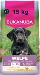 Eukanuba Welpenfutter trocken mit frischem Huhn f&uuml;r gro&szlig;e Rassen, 15 kg |...