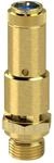 RIEGLER 104685-227.66-1,4 Sicherheitsventil DN 10, Messing, G 3/4,...