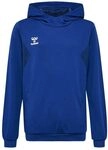 hummel Authentic Pl Hoody Kids blau, 14 (164) Kinder
