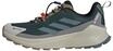 adidas Herren Terrex Trailmaker 2 Gore-TEX Speed LACE Hiking Shoes, Aurora