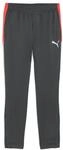 PUMA Herren Gestrickte Hosen Individualliga Training Pants