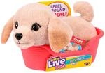 Little Live Pets My Really Real Puppy Minis &ndash; Buddy der Labrador, interaktiver