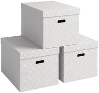 Leitz VON 3er Set Aufbewahrungsbox mit Deckel, 46 L, Gro&szlig;, 100 %...