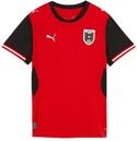 PUMA Damen &Ouml;fb Home Jersey Replica W Trikots, Puma Rot-puma-schwarz, S EU