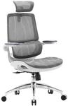 SIHOO M59AS Ergonomischer B&uuml;rostuhl mit 3D-koordinierbaren, hochklappbaren