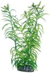 Hobby 51566 Heteranthera, 25 cm