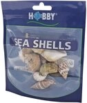 Hobby 40222 Sea Shells Set, M, M, 10 St&uuml;ck