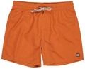Quiksilver Herren All Day Lb Boardshorts (1er Pack)