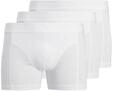 JACK & JONES Male Trunks 3er-Pack Trunks