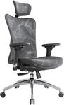 SIHOO M57 Ergonomischer Mesh-B&uuml;rostuhl, Lendenwirbelst&uuml;tze, 330 lb, Grau 