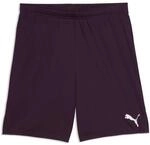 PUMA teamGOAL Shorts