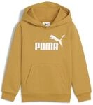 ESS No. 1 Logo Hoodie FL PS