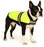 Flamingo Hundemantel Winter &ndash; Eisb&auml;r Fluo Gelb &ndash; XS 35cm &ndash; warm & modisch &ndash;