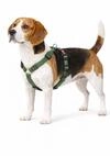 hundegeschirr - ziggi kaki H-Form - gr&ouml;&szlig;e M - 45-65 cm / 55-70 cm - 20 mm - Nylon
