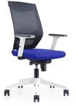 Rocada | Ergonomischer B&uuml;rostuhl mit lendenwirbelst&uuml;tze | Schreibtischstuhl mit