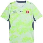 PUMA SFV Ausw&auml;rtstrikot Replica