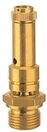 RIEGLER 103969-226.01-3,7 Sicherheitsventil DN 8, Messing, G 1/4, Ansprechdruck...