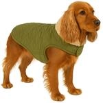 Flamingo Hundemantel &ndash; Bonnie &ndash; Gr&uuml;n &ndash; A: 45 cm | B: 36&ndash;44 cm | C: 58&ndash;64