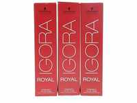 Schwarzkopf IGORA Royal Premium-Haarfarbe 9-55 hellblond gold extra, 1er Pack...