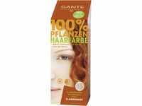 SANTE Naturkosmetik Pflanzen-Haarfarbe Pulver, Flammenrot, 100g