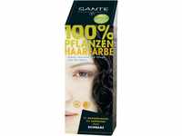 Sante Naturkosmetik Pflanzen-Haarfarbe Pulver, Schwarz, 100 g (1er Pack)