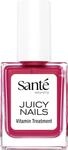 Sant&eacute; naturally. Juicy Nails 02 Raspberry Jam - 10 ml - Hybrid-Pflegelack mit