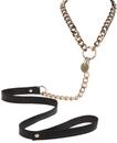 Taboom Statement Collar and leash