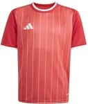 adidas Unisex Kinder Entrada26 Graphic Jersey Kids Shirt, Team Power red 2/White,