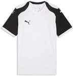 Puma Herren Teamfinal26 Knit Jersey Trikots (1er Pack)