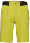 Mammut Aenergy Light SO Shorts Men