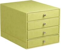 Rhodia 318866C Schubladenbox (mit 4 Schubladen, Griffe aus Metall, Kunstleder,